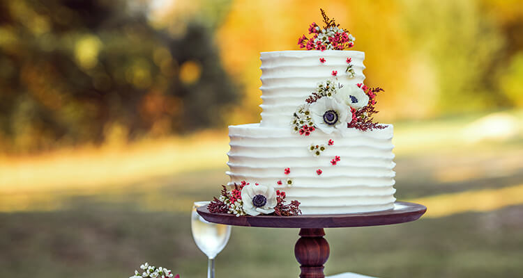Wedding Cake – Whipped.in