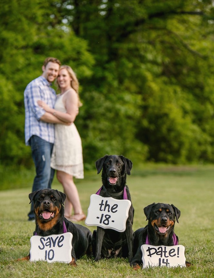 19 Cute Ideas To Make Your Pupper A Part Of Your Wedding