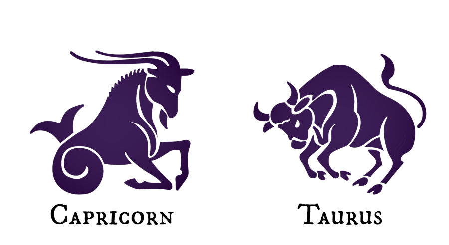 astrology zodiac signs capricorn taurus