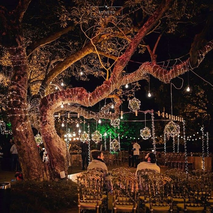 20 Exceptionally Pretty Tree Decoration Ideas for Wedding Decor