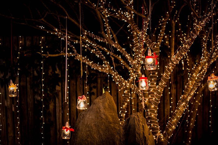 20 Exceptionally Pretty Tree Decoration Ideas For Wedding Decor   Tree Wrapped With Lights 